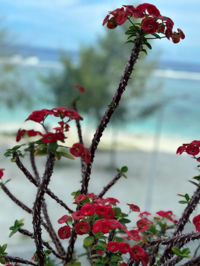 Lazzlla Beach Front Apartments Hulhumale Kültér fotó
